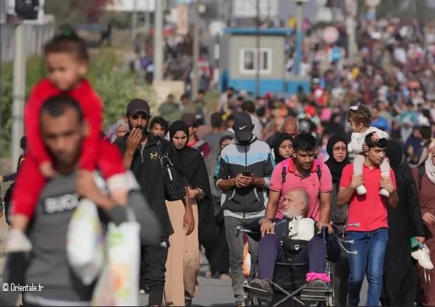Scènes de déplacement depuis le nord de Gaza Scènes de déplacement depuis le nord de Gaza